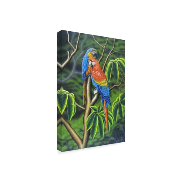 Luis Aguirre 'Rainbow Macaw' Canvas Art,22x32